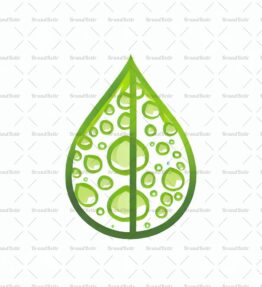 Tautropfen auf einem Blatt